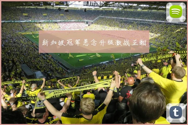 新加坡冠军悬念升级激战正酣