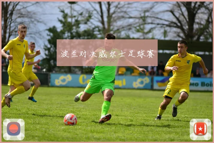 波兰对决威尔士足球赛