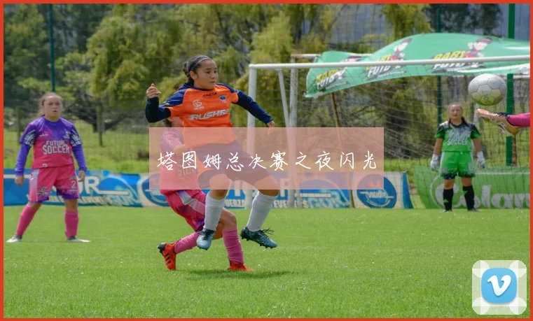 塔图姆总决赛之夜闪光