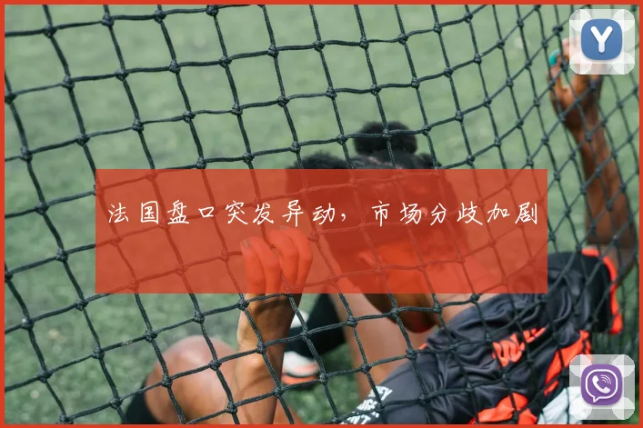 法国盘口突发异动，市场分歧加剧