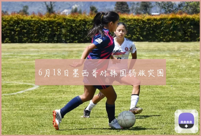 6月18日墨西哥对韩国弱旅突围 · 用户常问