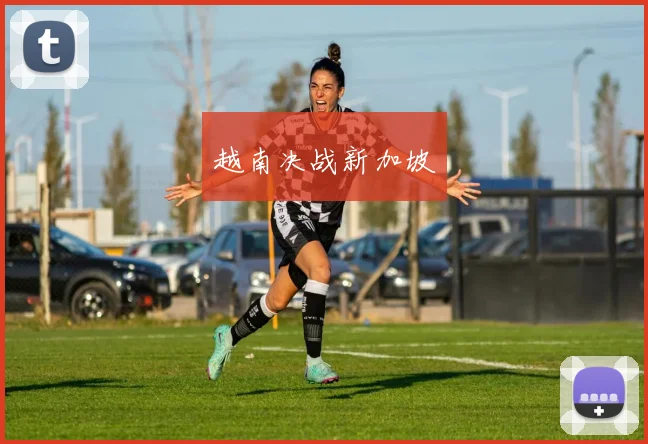 越南决战新加坡