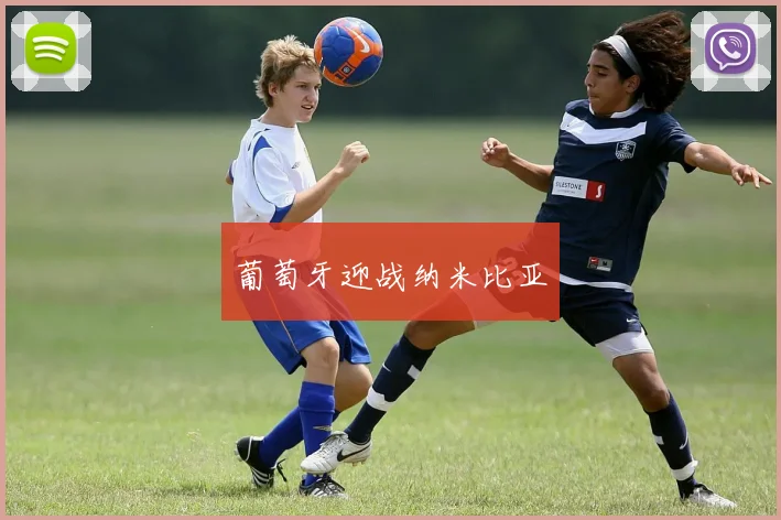葡萄牙迎战纳米比亚