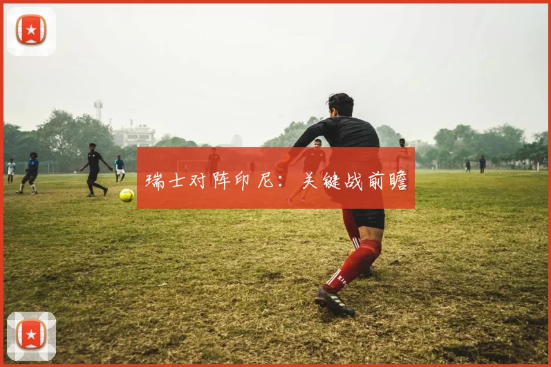 瑞士对阵印尼：关键战前瞻