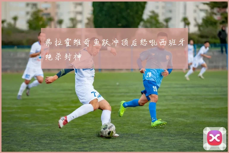 弗拉霍维奇鱼跃冲顶后怒吼西班牙绝杀封神 · 用户常问