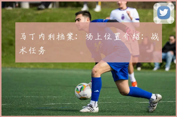 马丁内利档案:场上位置介绍:战术任务 · 用户常问