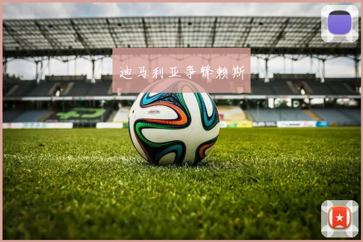 迪马利亚争锋赖斯
