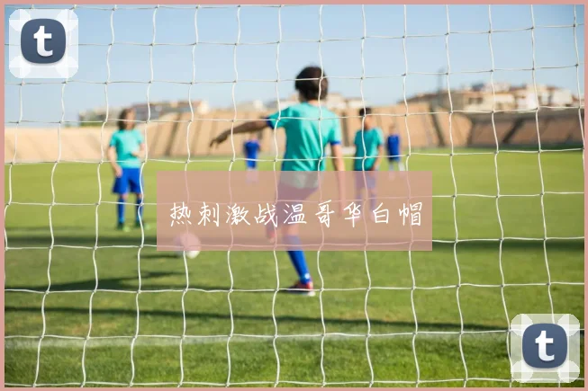 热刺激战温哥华白帽