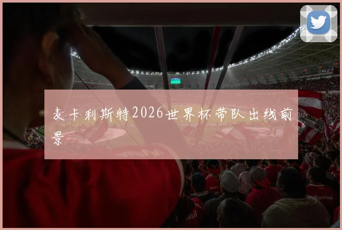 麦卡利斯特2026世界杯带队出线前景